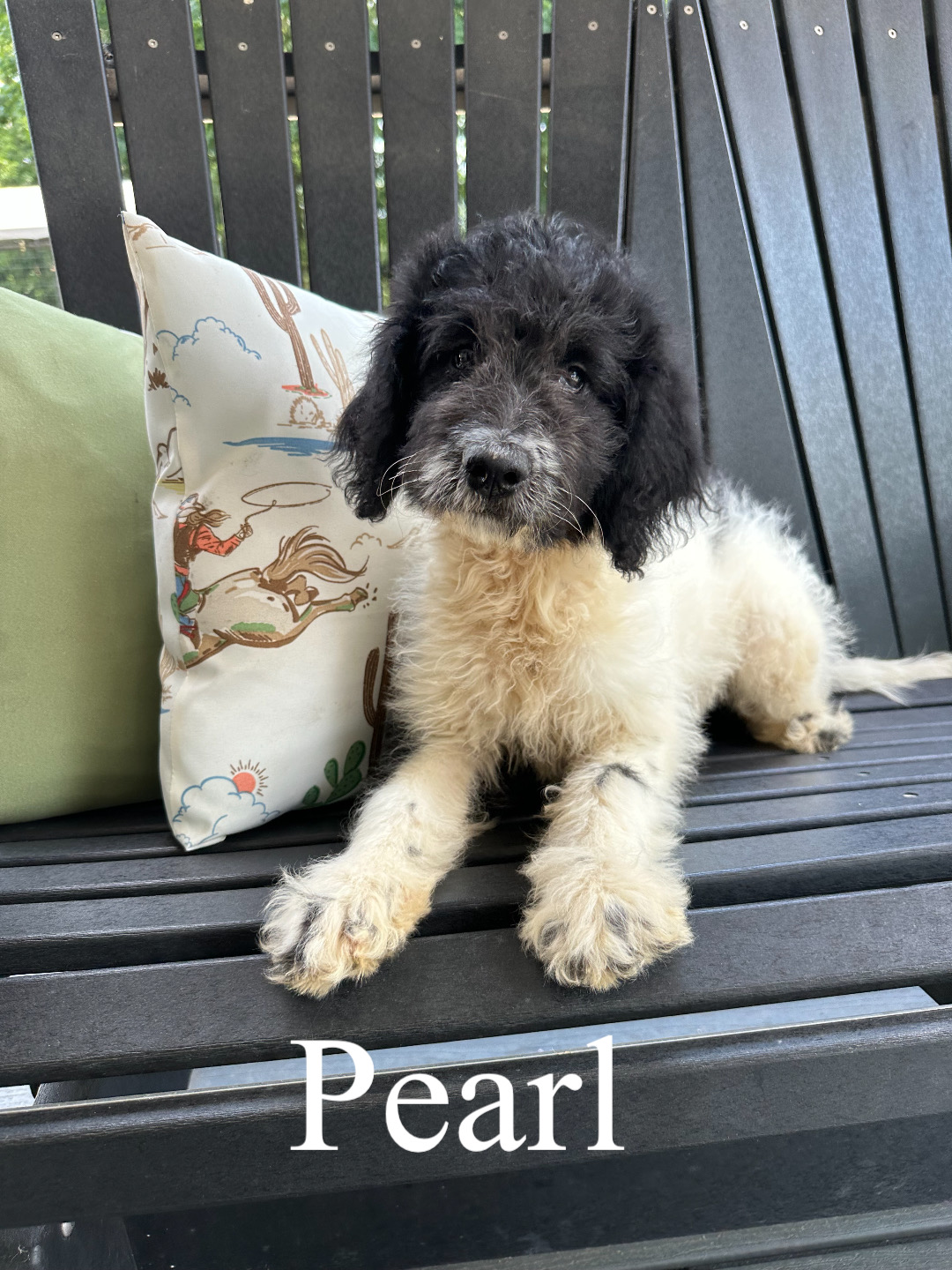 Pearl 1